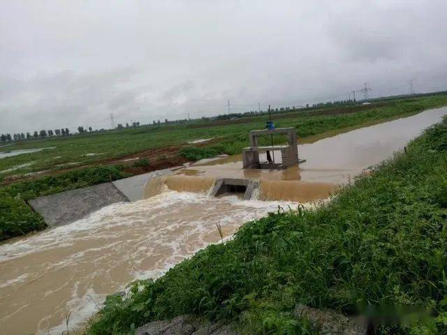 邓州连降大雨,张岗灌区紧急泄洪排涝!