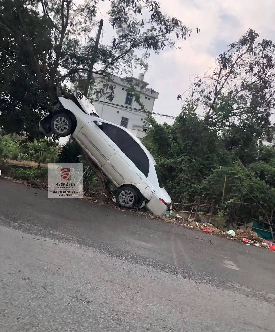 棵看起来并不大的树却屹立不倒希望各位司机开车注意安全平安驾驶end