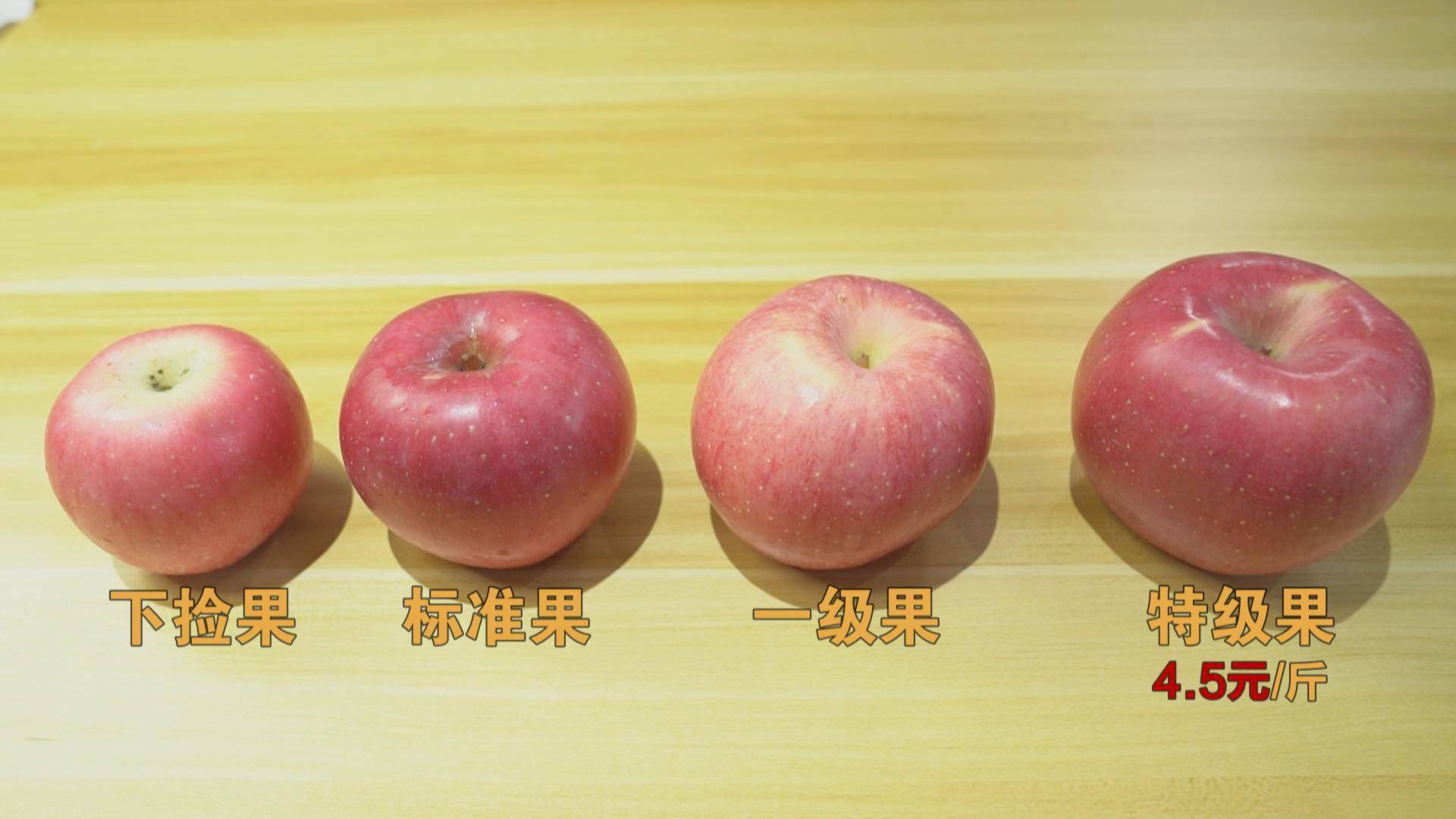 朱彦明介绍说,苹果的品质按照好坏来分,能分成4个规格,价格也差距很大