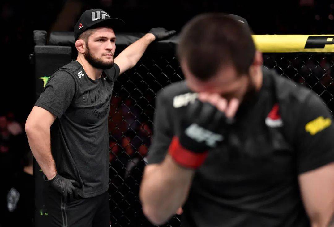 官宣以父之名哈比布10月底重返八角笼战盖奇