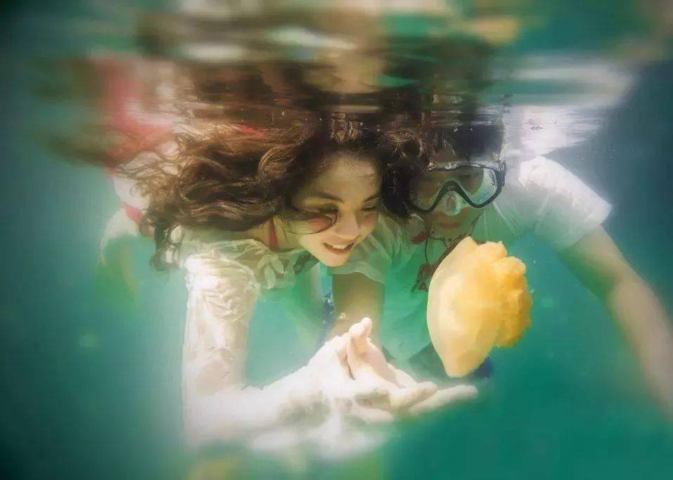 用镜头畅游水中,拍出美照不再是难事