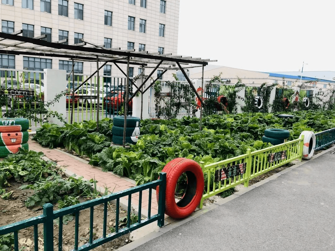 东丽区华夏未来幼儿园招生简章