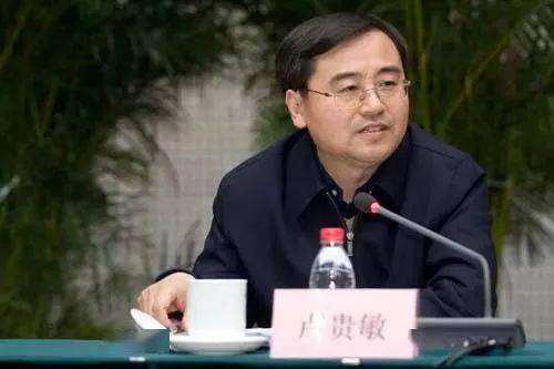 卢贵敏被"双开"