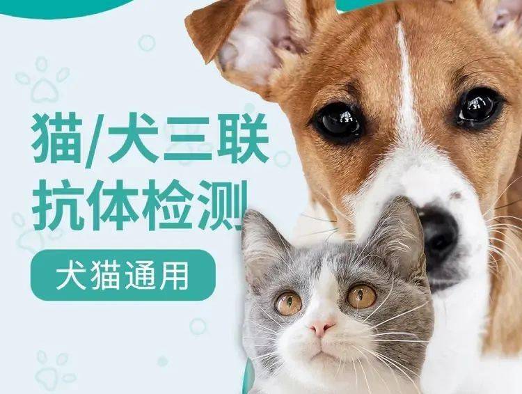 佳雯养宠知识丨免疫失败原因,免疫时注意事项以及免疫