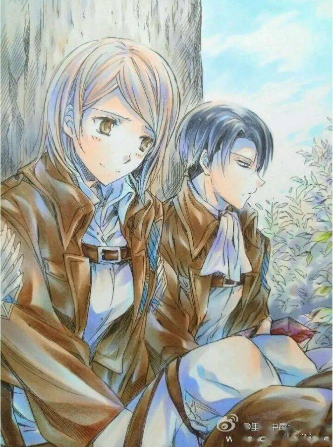 画册进击的巨人cp兵长佩特拉