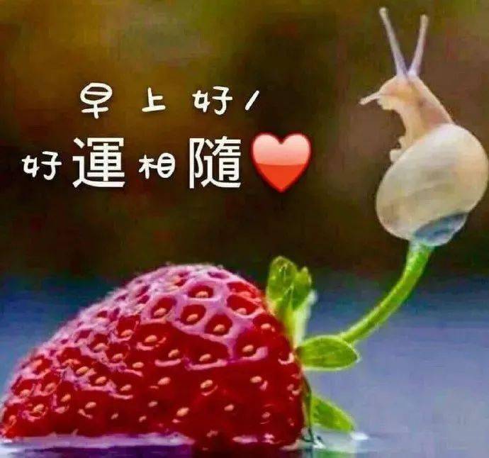 暖心10字 1今天你的生日,我祝你生日快樂並送你一朵象火一樣紅的玫瑰