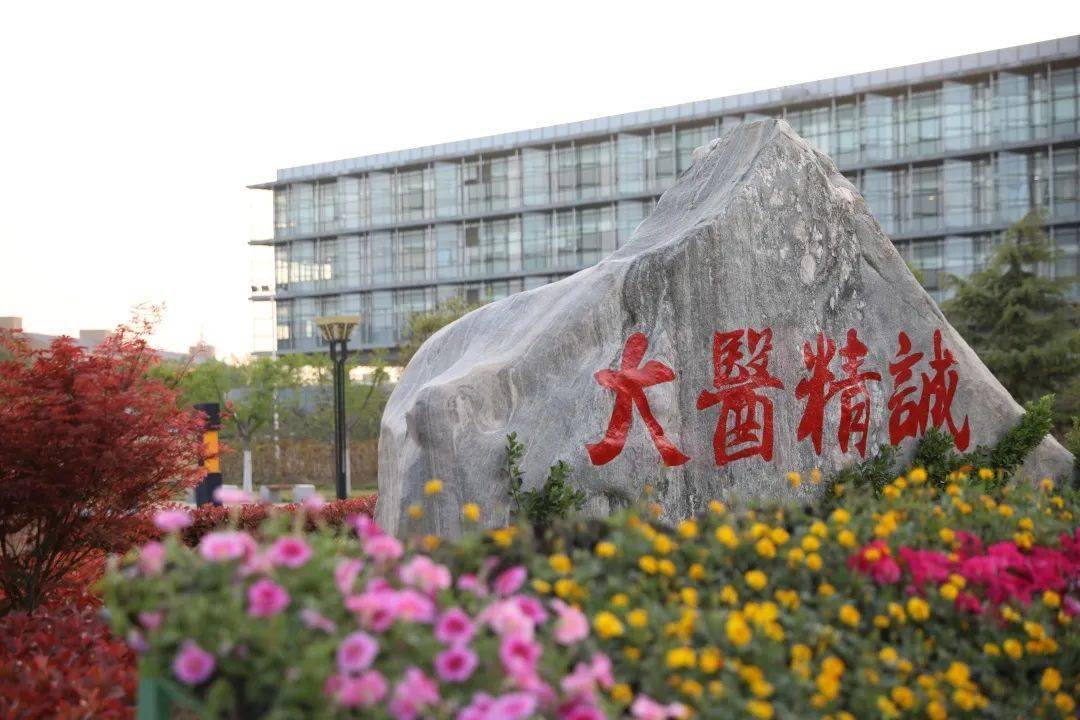 8月1日全省住培助理全科医生结业考核启动主要环节在我校举行
