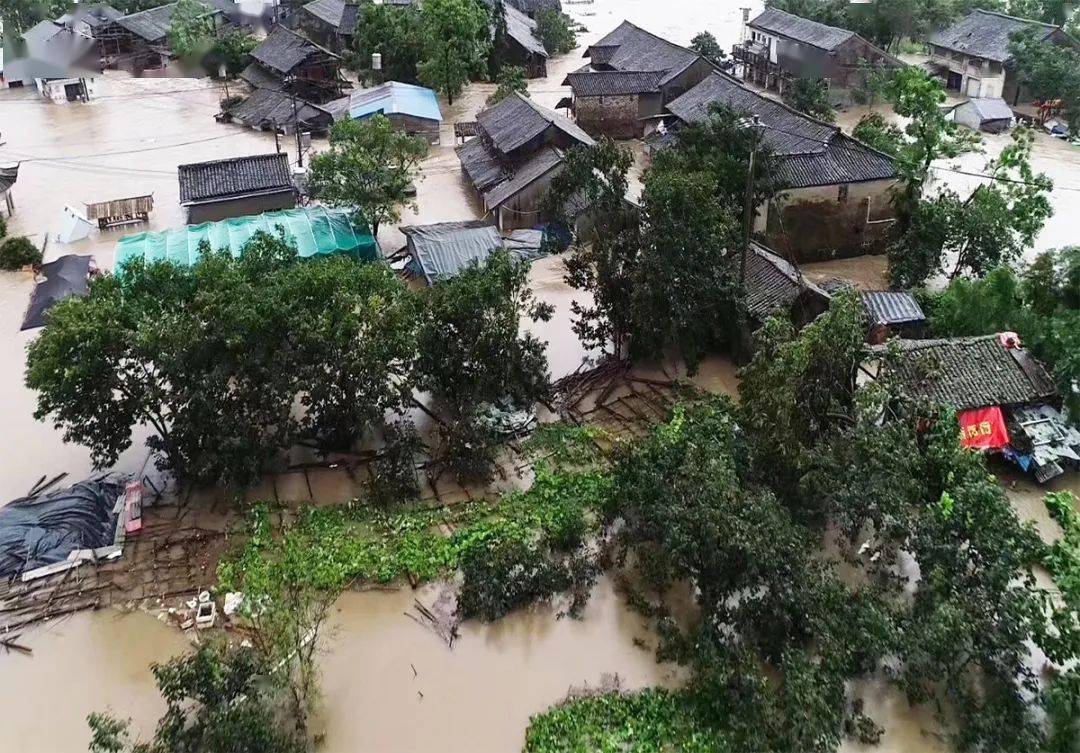 温州,台州,宁波等中南部沿海城市,  苍南,乐清,温岭是最易遭遇台风的