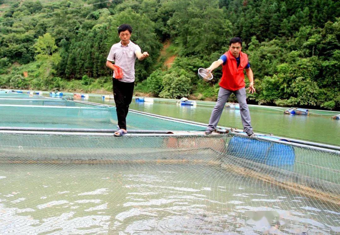 巴畴乡纳浪村:生态养鱼有奔头