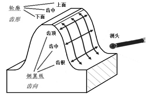 齿廓示意图图片