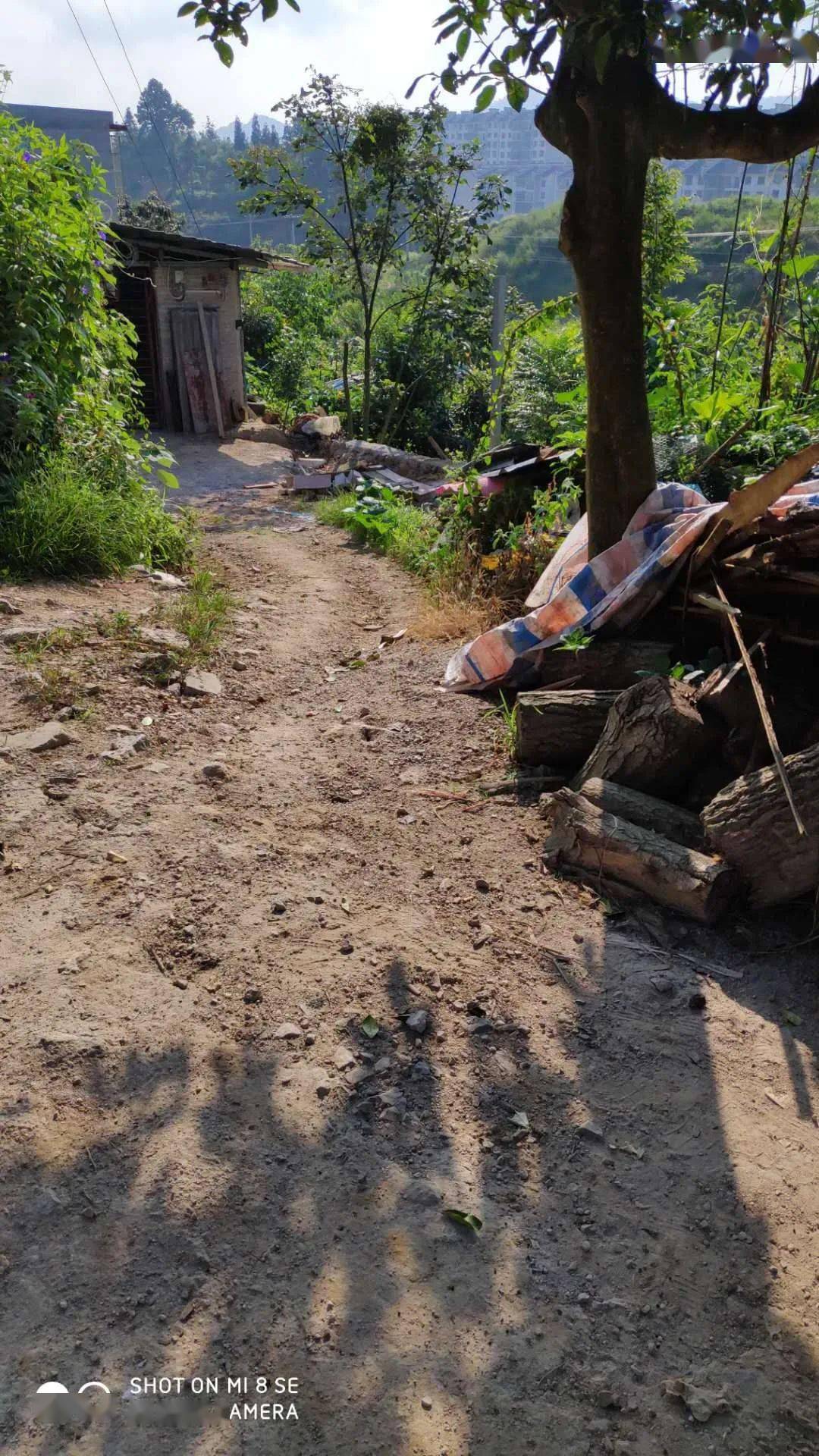 【微友求助】村裡這截泥巴路被暴雨沖毀,特來求助