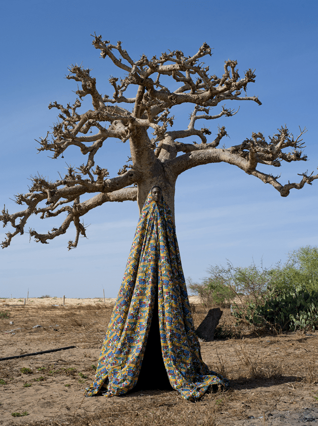 2020徕卡奥斯卡巴纳克摄影奖入围名单现已出炉