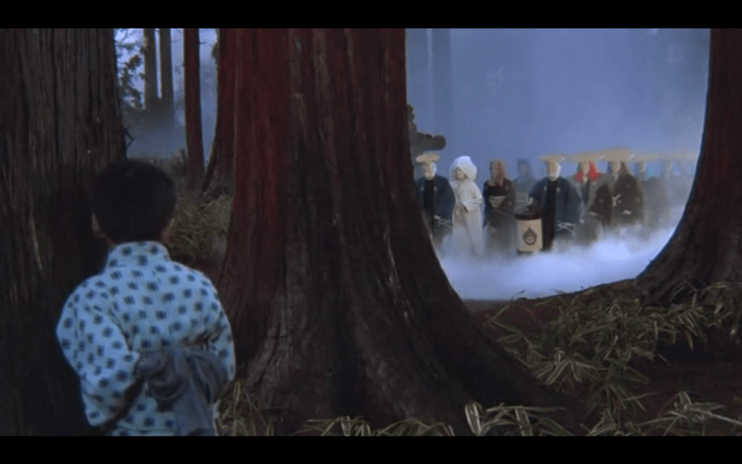 "我"没有听从母亲的劝告,看到狐狸娶亲,发现后的狐狸给母亲送去短刀要