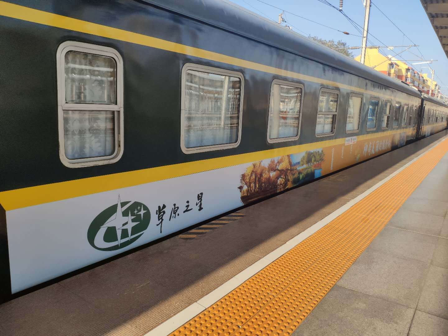 "草原之星"额济纳旅游专列.中国铁路呼和浩特局集团有限公司供图