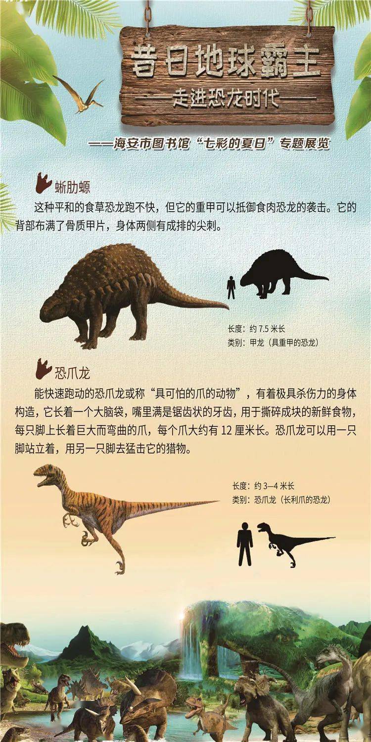 海安市图书馆举办七彩的夏日昔日地球霸主走进恐龙时代专题展览