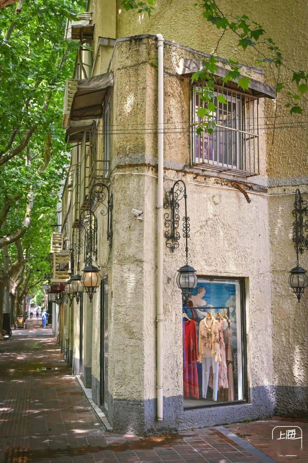 衡山路的梧桐树下