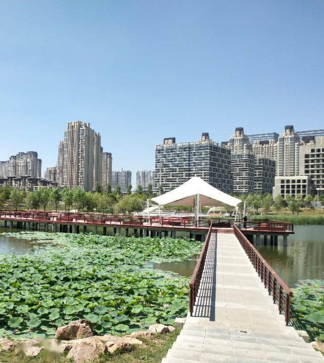 长春南部新城再添新公园,大黄鸭已进场!光明公园已对外开放