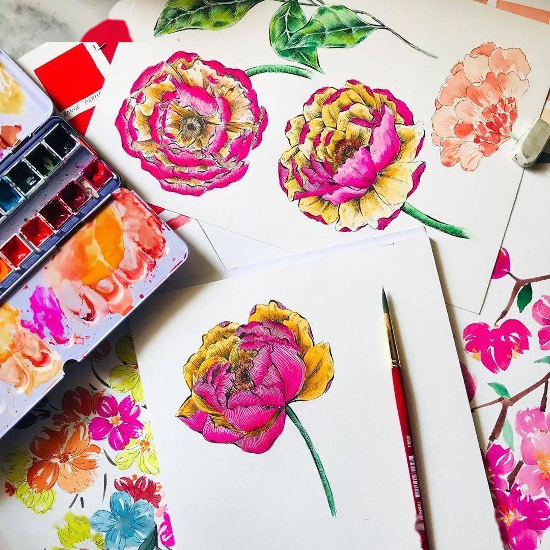先用铅笔勾勒出花卉的大致轮廓,然后用针管笔勾边,最后用彩色笔上色