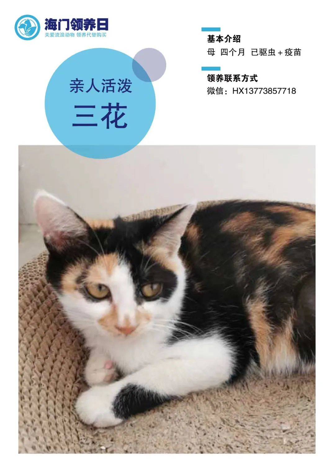 第17届海门宠物领养日