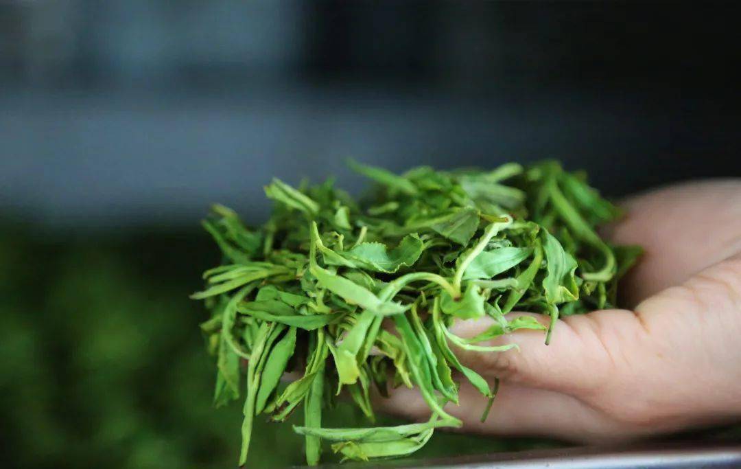 茶俗百汇基诺族凉拌茶