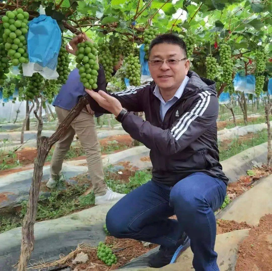 百果园,鑫荣懋,盒马鲜生,沃尔玛300余家主流采购商携