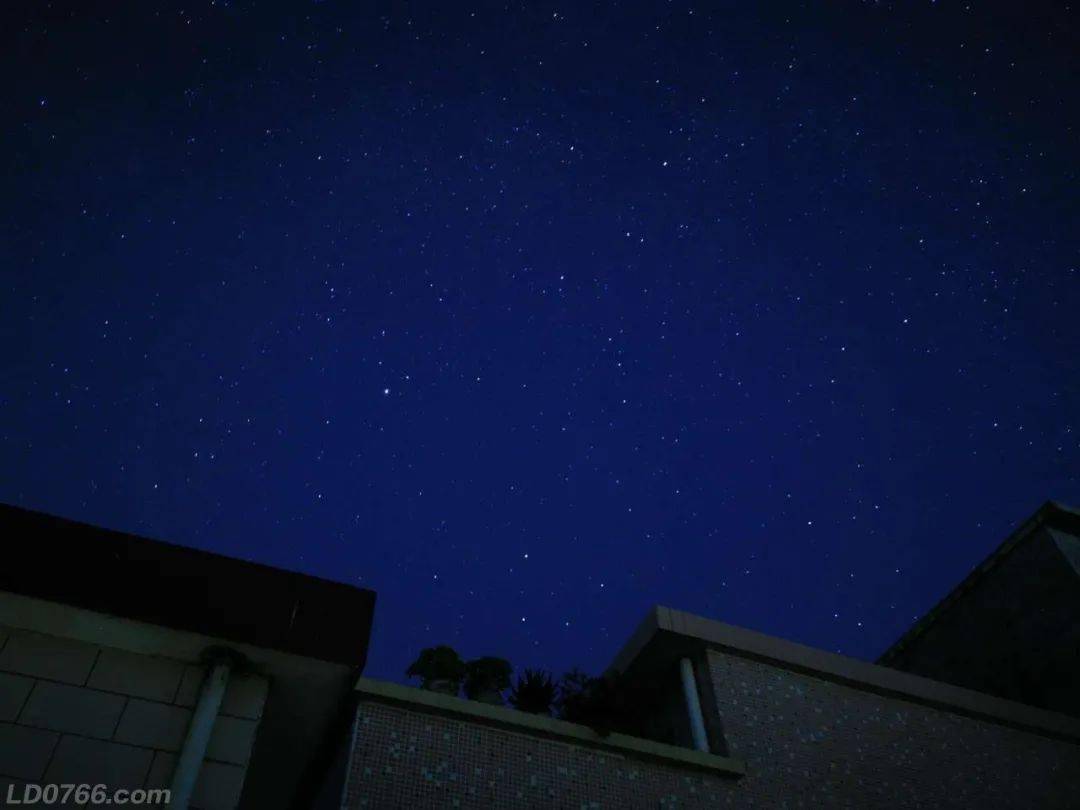 经常见到白月光和一颗闪闪