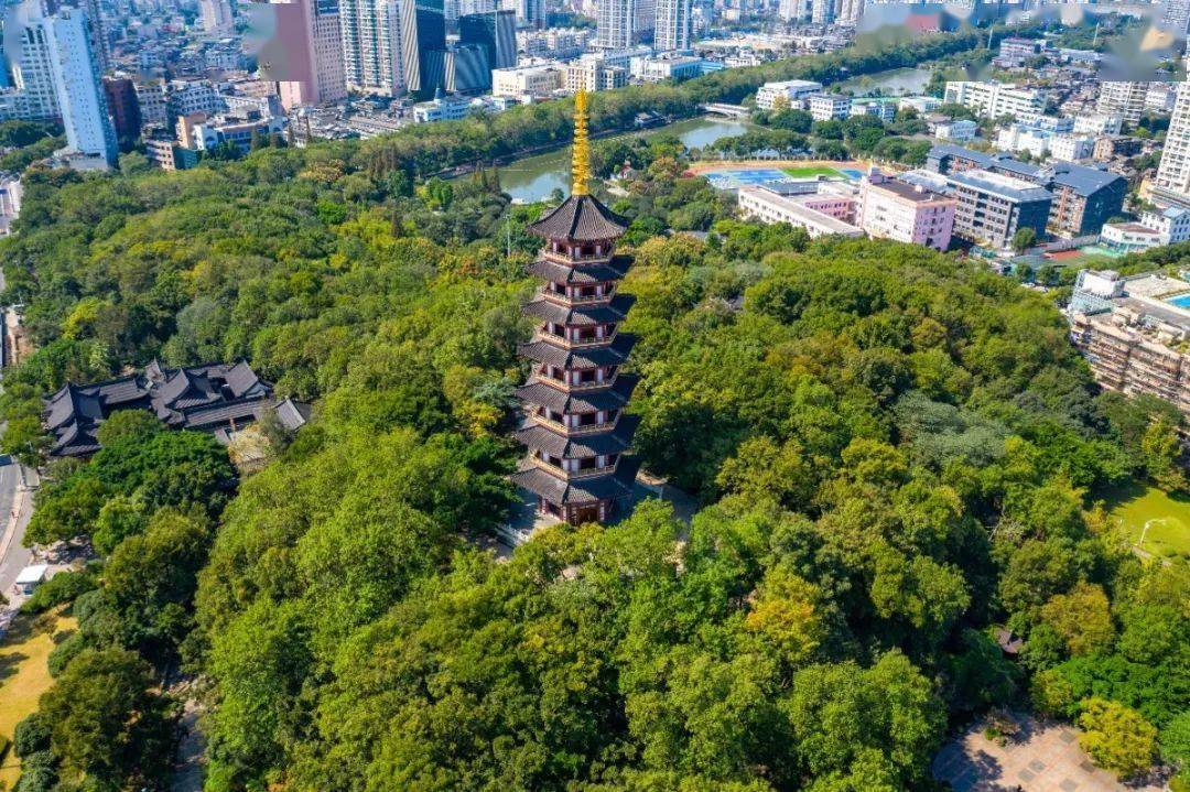 水未来丨流淌在温州人心中的河九山湖获全省美丽河湖称号