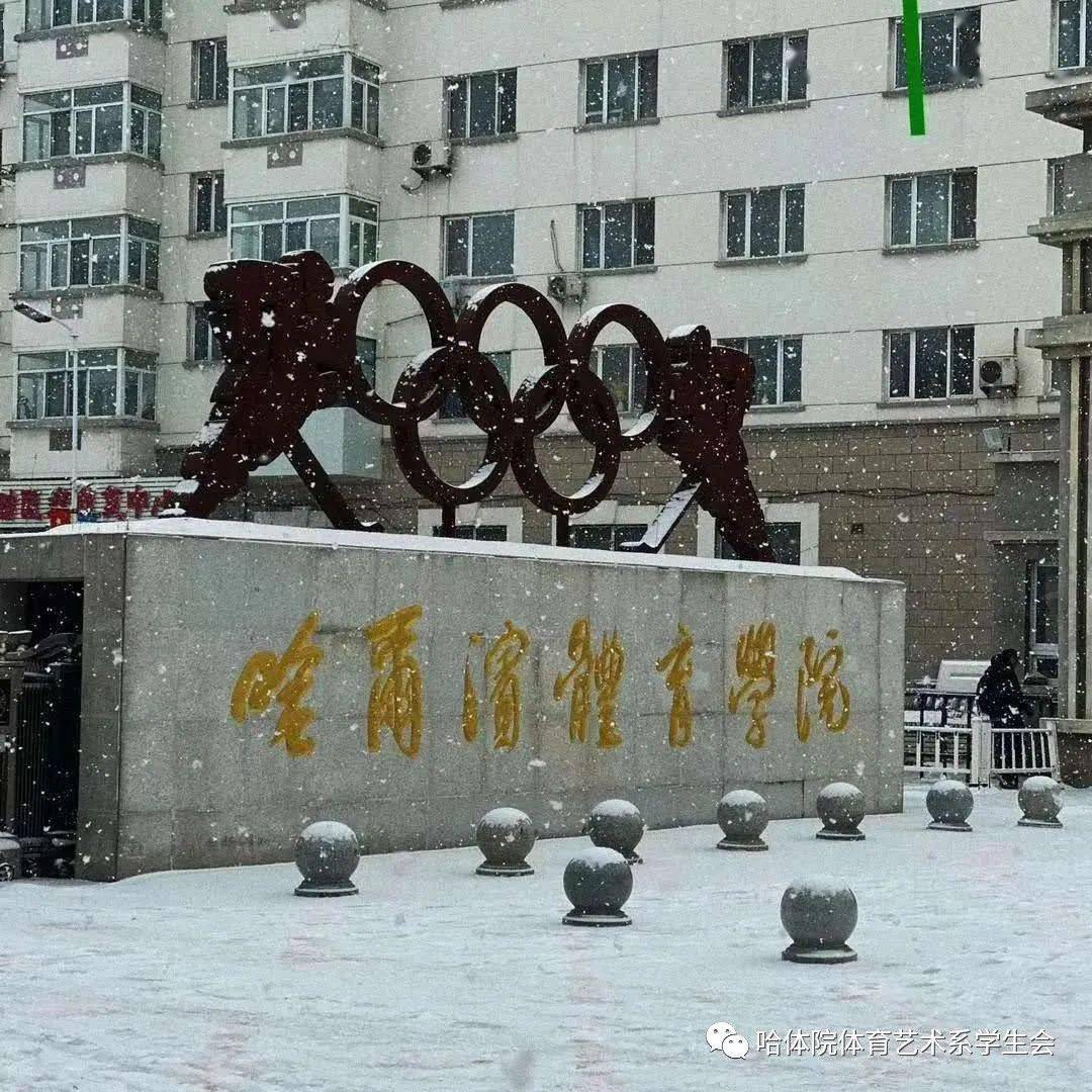 哈体院 来自搜狐网