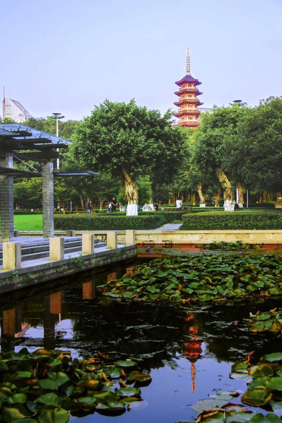 水未来丨流淌在温州人心中的河九山湖获全省美丽河湖称号