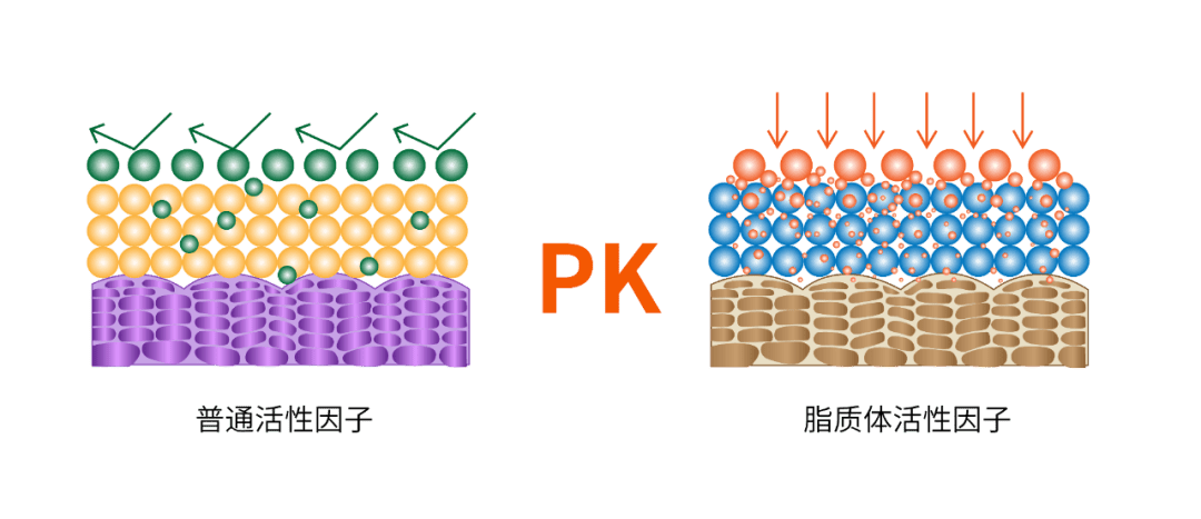 磐升生物专研的纳米脂质体包裹技术,是一种真正意义上无创渗透专利