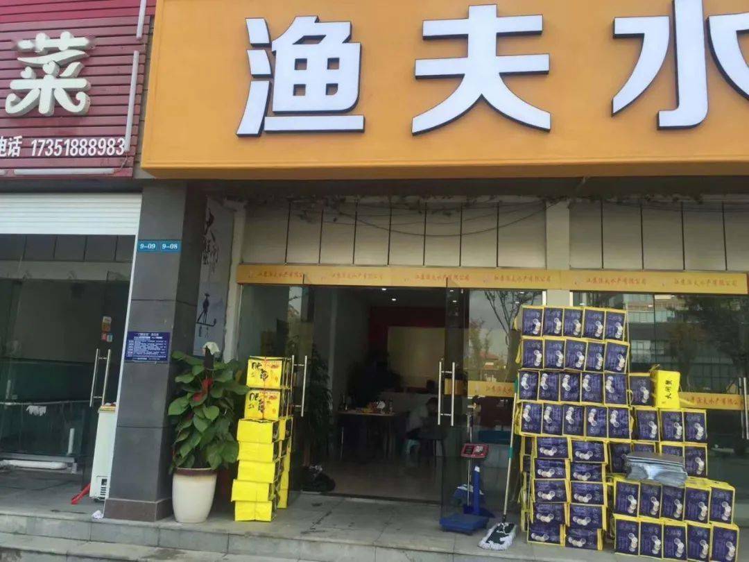 顺势而行,逆流而上——渔夫水产