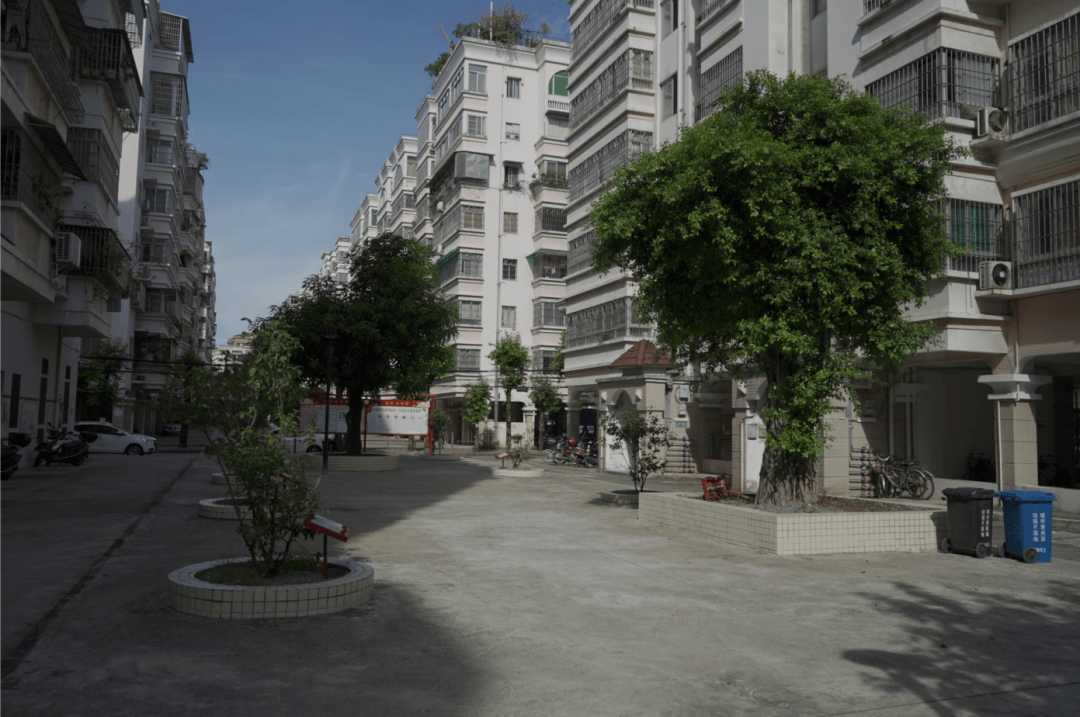 江门街头这道靓丽风景线又刷屏了!你参与了吗?