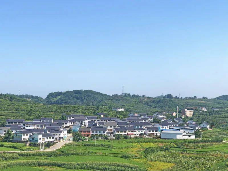 "8月4日,修文县谷堡镇折溪村的何勇开上车,一个巷子一个巷子挨着喊,为