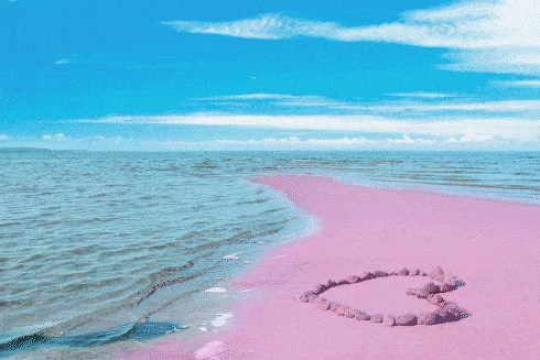 超漂亮肇庆浪漫粉色沙滩8月15日起盛大迎客快领福利