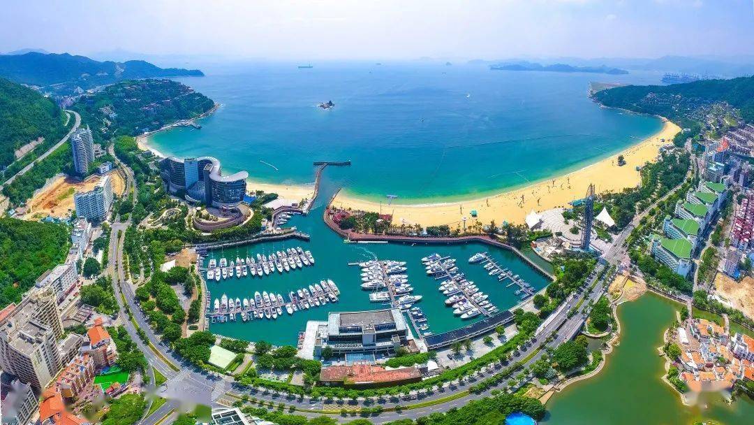 深圳市盐田区公开招聘事业单位人员及公共事务辅助员