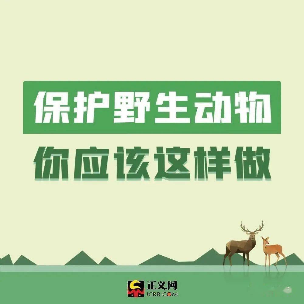 我們為什麼要保護野生動物因為承擔不起這些後果