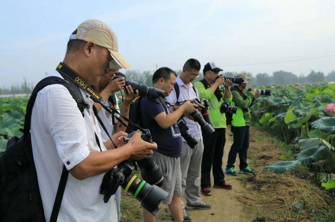 瞩目镜头里的西顺河美景怎地一个美字了得