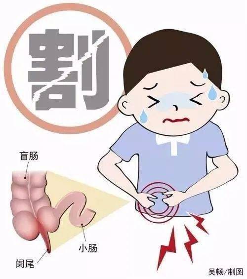 这个由盲肠延伸出来的"小尾巴",大肠中的"死胡同"不仅不是无用的器官