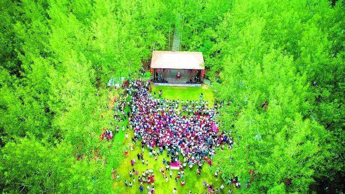 美丽乡村春风十里不如美丽马郢