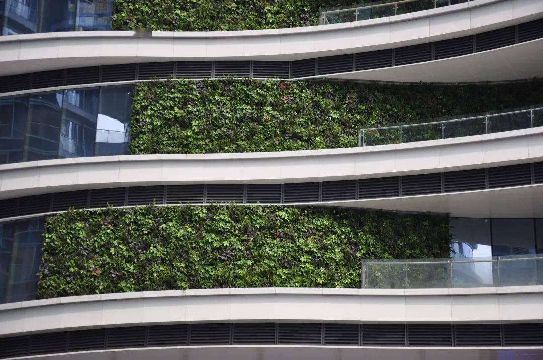 公园城市出3d版了