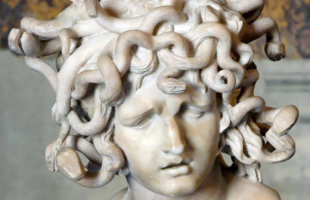 它的名字叫筐蛇尾.