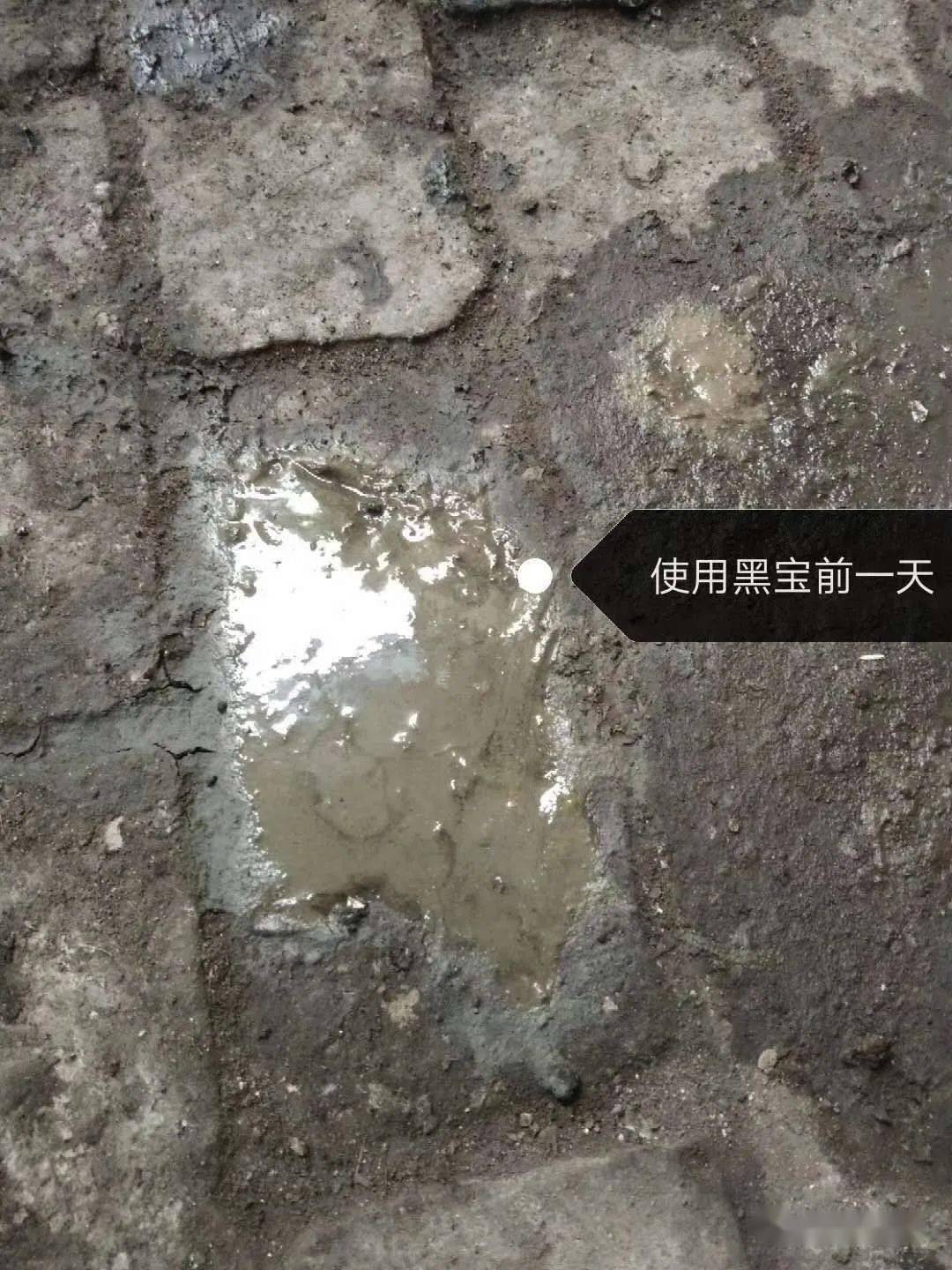 仔猪黄痢的粪便呈黄色浆状,内含凝乳小片,有腥臭味,剖检可见胃内容物