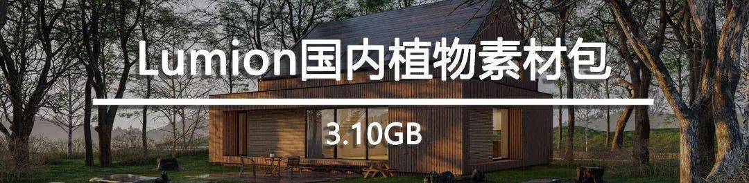 造型罗汉松如何选择