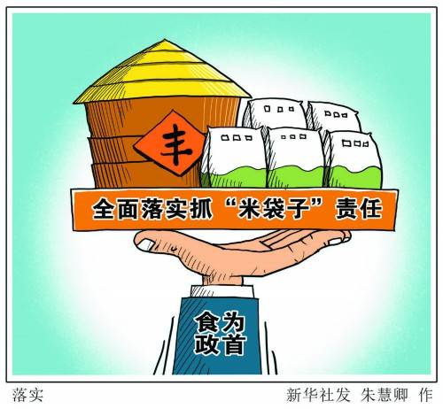 在粮食安全省长责任制考核启动之际,重申"米袋子"全面责任有重要意义.