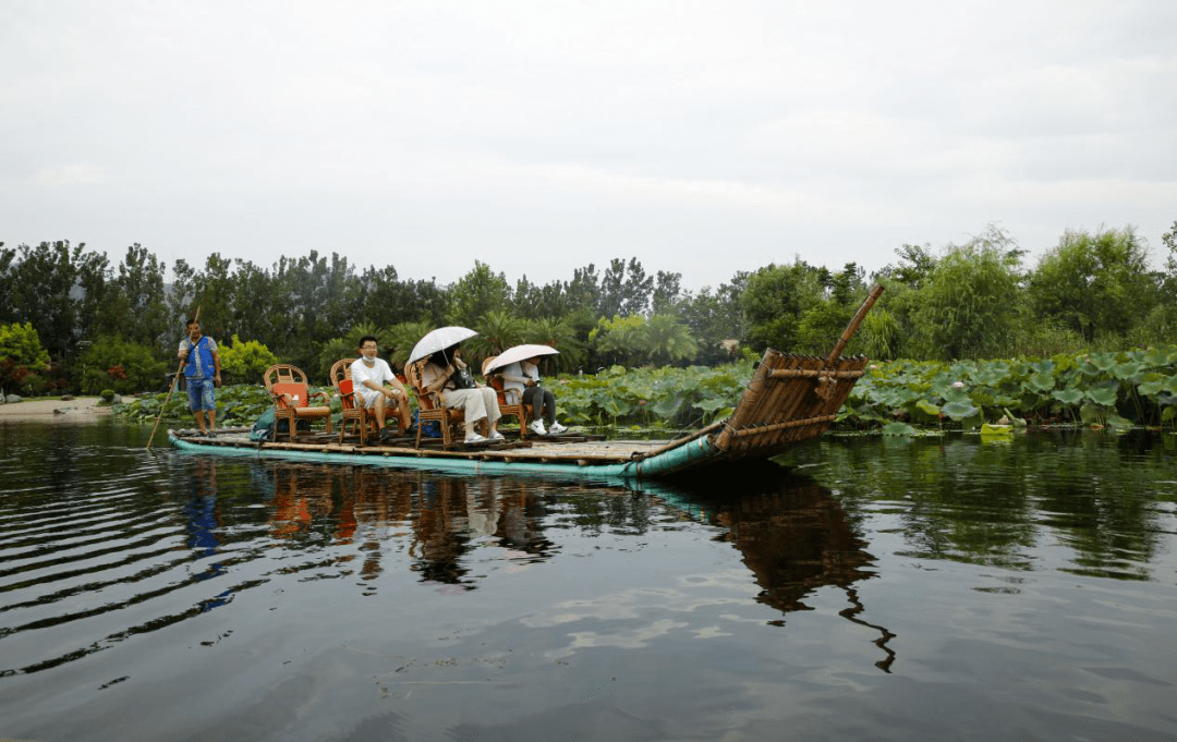乘坐竹筏游湖赏花感受邛海湿地别样风光