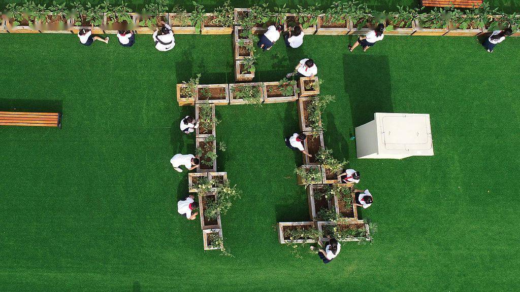 该校26个班级组成小分队,轮流到学校管理农场.