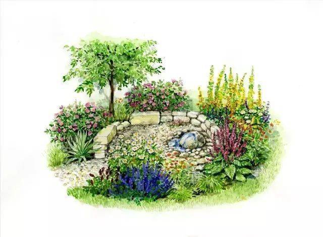 101款手绘花园院子植物小景