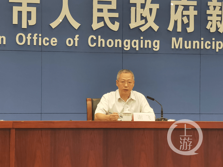 重庆市水利局党组成员,副局长谢飞进行了解答