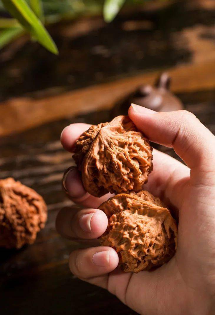 排在首位的文玩核桃,看似是市井里的俗气玩物,实则身世不凡,是贵族们