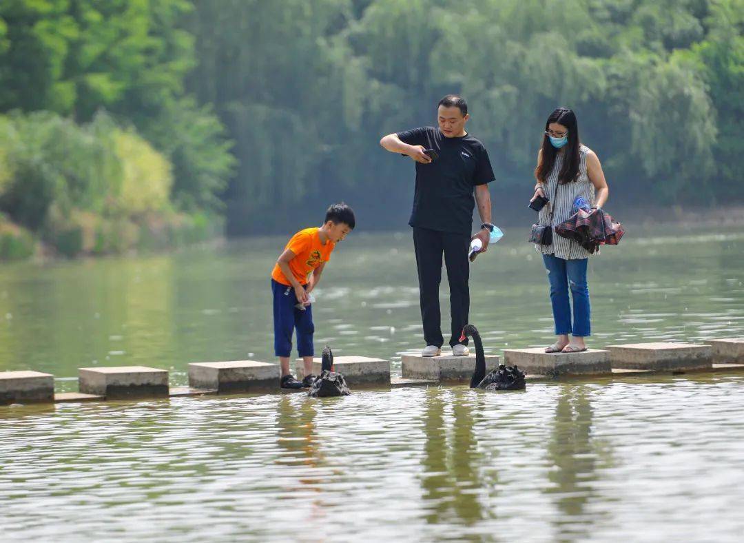 生态休闲游 | 去台儿庄双龙湖湿地寻找夏天,逃离喧嚣城市,拥抱大自然
